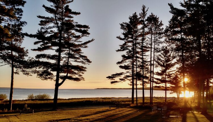 Sault Tribe files appeal to 2023 Great Lakes Fishing Decree, says treaty rights were violated • Michigan Advance